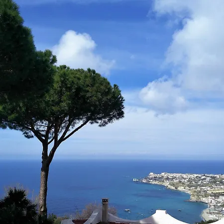فيلة Andrea Forio di Ischia